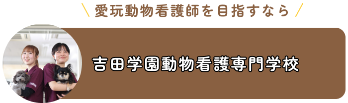 吉田学園動物看護専門学校